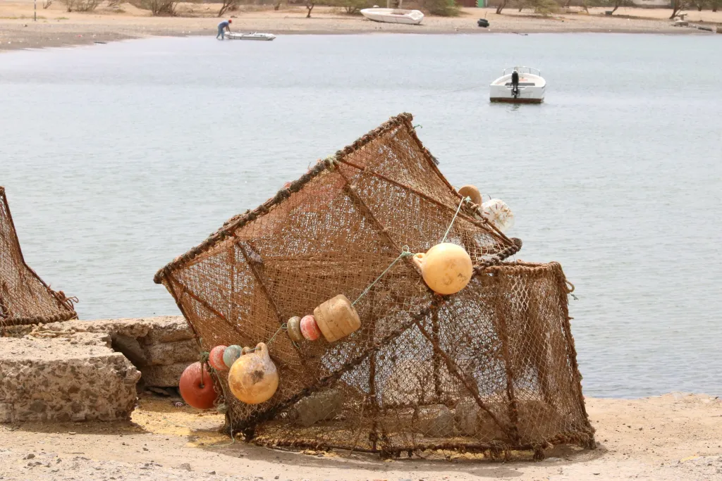 Fish market in the harbour